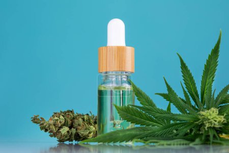 Foto de Aceite de cannabis en botella con hojas de marihuana - Imagen libre de derechos