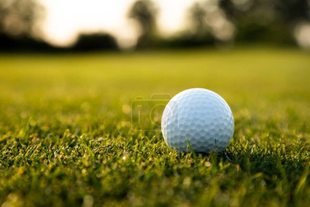 Téléchargez les photos : Balle sur le terrain de golf, herbe verte - en image libre de droit