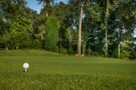 Téléchargez les photos : Club de golf et balle sur le terrain de golf en été - en image libre de droit