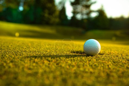 Photo for Golf balls on the green grass. - Royalty Free Image