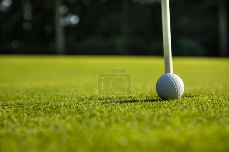 Téléchargez les photos : Balle de golf dans un club de golf. - en image libre de droit