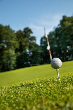 Foto de Club de golf con una pelota de golf - Imagen libre de derechos