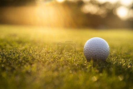 Téléchargez les photos : Club de golf avec balle dans l'herbe - en image libre de droit