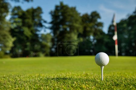 Photo for Golf ball on green course - Royalty Free Image
