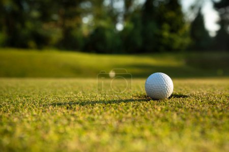 Foto de Pelota de golf en T - Imagen libre de derechos