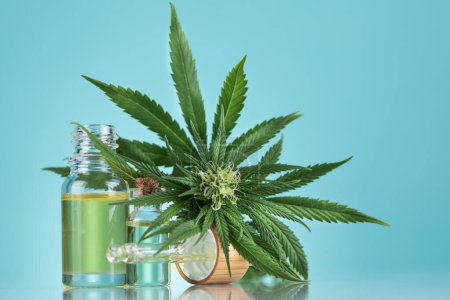 Foto de Aceite de cáñamo en botella de vidrio con hojas de marihuana sobre un fondo azul. extracto de marihuana medicinal. - Imagen libre de derechos