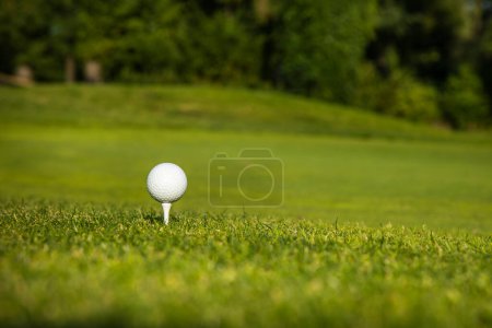 Téléchargez les photos : Balle de golf sur l'herbe - en image libre de droit
