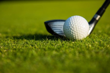 Téléchargez les photos : Balle de golf sur le tee dans le club de golf avec de l'herbe sur le fond du terrain de golf. club de golf avec espace de copie pour le texte. sport et mode de vie - en image libre de droit