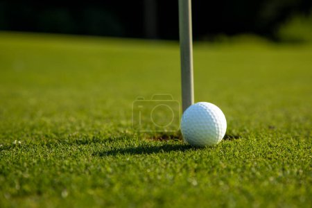 Téléchargez les photos : Balle sur le terrain de golf le matin - en image libre de droit