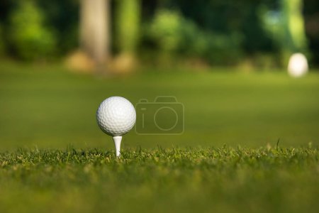 Foto de Golf ball on green grass with golf course. - Imagen libre de derechos