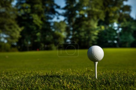 Téléchargez les photos : Balle de golf sur une herbe verte sur le terrain de golf - en image libre de droit
