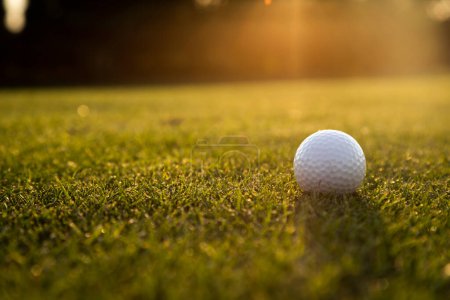 Téléchargez les photos : Balle de golf sur tee avec terrain de golf. - en image libre de droit