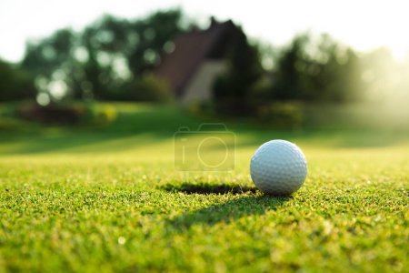 Téléchargez les photos : Balle de golf avec un tee vert sur le terrain de golf - en image libre de droit