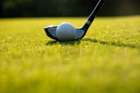 Téléchargez les photos : Boule de golf sur gazon vert sur terrain de golf - en image libre de droit