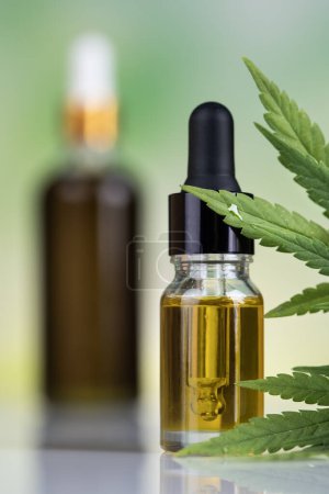 Foto de Botella de aceite de cáñamo con hojas de cáñamo y botella de aceite de cannabis sobre fondo blanco. - Imagen libre de derechos