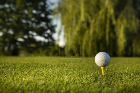 Foto de Pelota de golf en campo verde - Imagen libre de derechos