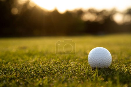 Téléchargez les photos : Boule de golf dans l'herbe verte - en image libre de droit