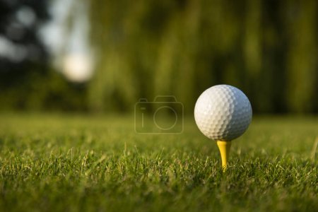 Téléchargez les photos : Terrain de golf et herbe en été - en image libre de droit
