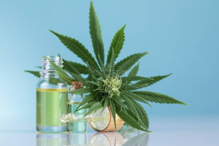 Téléchargez les photos : Huile de chanvre avec des feuilles de cannabis et une bouteille d'huile de chanvre sur fond blanc. médecine douce - en image libre de droit