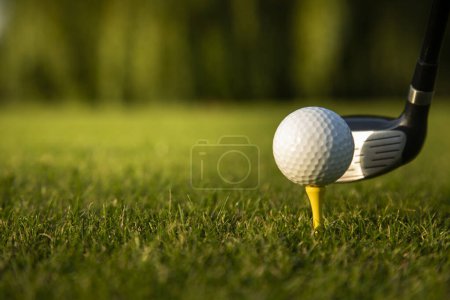 Téléchargez les photos : Balle de golf dans le club sur une herbe verte - en image libre de droit