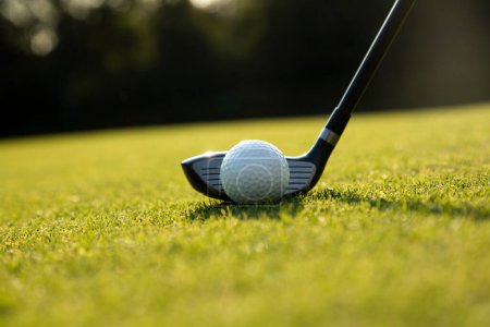 Photo for Golf club with golf ball and tee - Royalty Free Image