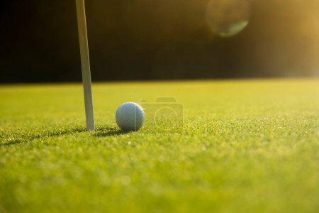 Téléchargez les photos : Balle de golf dans l'herbe sur le terrain de golf - en image libre de droit