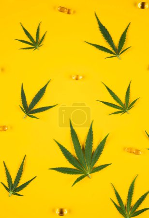 Téléchargez les photos : Feuille de marijuana et feuille de cannabis sur fond jaune. Pose plate. vue de dessus - en image libre de droit
