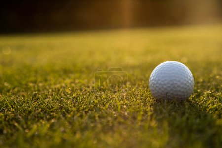 Foto de Pelota de golf en un campo de golf. pelota de golf en el césped. concepto deportivo - Imagen libre de derechos