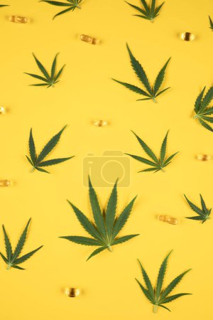 Téléchargez les photos : Feuille de cannabis sur fond jaune, vue du dessus - en image libre de droit