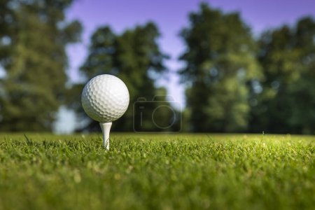 Téléchargez les photos : Boule de golf sur une herbe verte - en image libre de droit