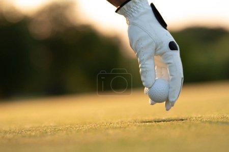 Photo for Golf player in a golf club on the course - Royalty Free Image
