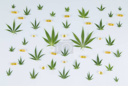 Téléchargez les photos : Vue du dessus des feuilles de marijuana et des bourgeons de cannabis sur fond blanc avec espace de copie. - en image libre de droit