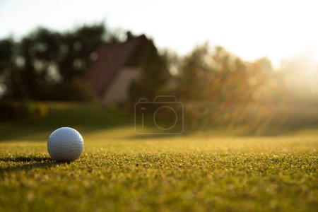 Téléchargez les photos : Club de golf avec balle - en image libre de droit