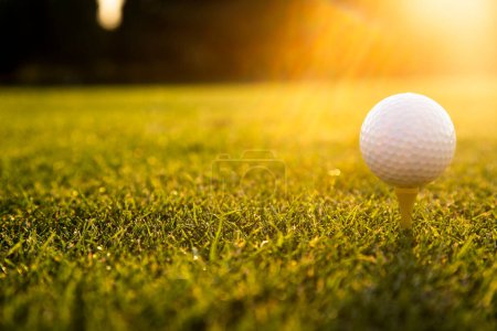 Téléchargez les photos : Balle de golf sur le terrain de golf - en image libre de droit
