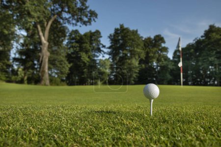 Téléchargez les photos : Club de golf sur la pelouse verte - en image libre de droit