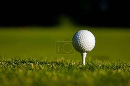Téléchargez les photos : Boule de golf dans l'herbe verte - en image libre de droit