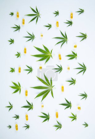 Téléchargez les photos : Feuille de cannabis et marijuana - en image libre de droit