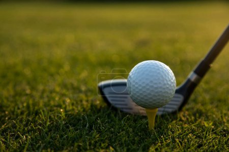 Téléchargez les photos : Balle de golf dans le vert - en image libre de droit