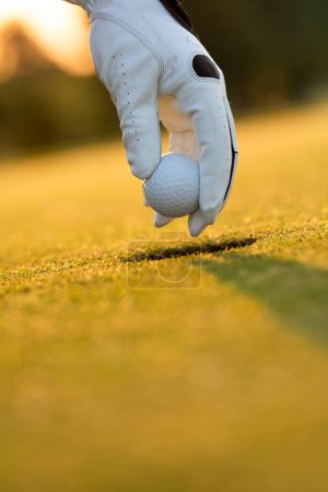 Photo for Golfer playing a golf on green grass - Royalty Free Image