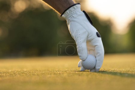 Téléchargez les photos : Golfeur mâle mettant le golf sur le terrain de golf - en image libre de droit