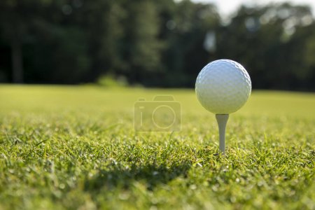 Téléchargez les photos : Balle de golf sur le terrain - en image libre de droit