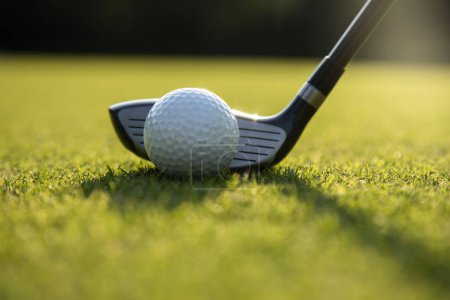 Foto de Pelota de golf sobre pelota de golf sobre hierba en campo de golf. - Imagen libre de derechos