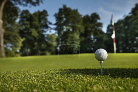 Foto de Golf ball on tee in golf course with golf club in morning with sunshine on golf course. golf club on golf course. - Imagen libre de derechos