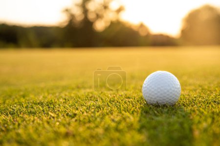Téléchargez les photos : Balle de golf sur herbe verte sur le terrain de golf avec espace de copie - en image libre de droit