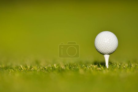 Photo for Golf club and green grass on golf course with golf ball - Royalty Free Image