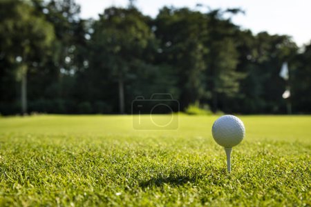 Téléchargez les photos : Boule de golf sur l'herbe verte. - en image libre de droit