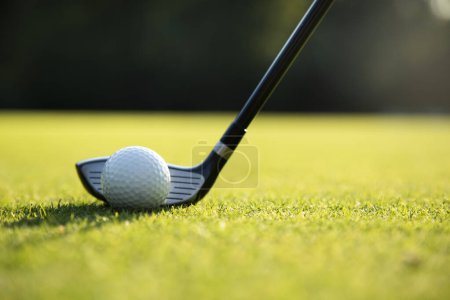Téléchargez les photos : Balle de golf sur fond vert avec espace de copie pour le texte. concept de terrain de golf. - en image libre de droit