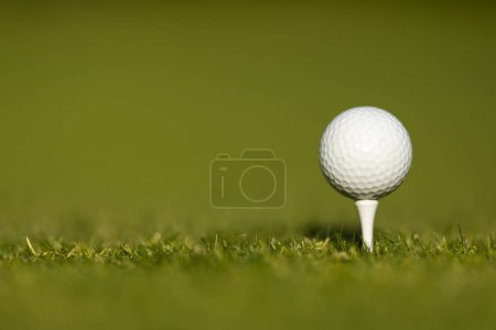 Téléchargez les photos : Parcours de golf le matin - en image libre de droit