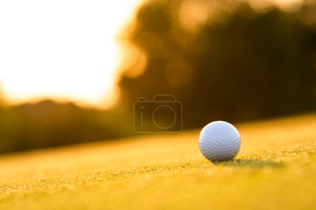 Photo for Golf ball on the grass - Royalty Free Image