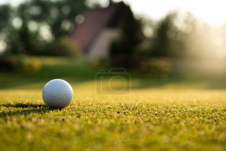 Téléchargez les photos : Balle de golf sur le terrain. - en image libre de droit